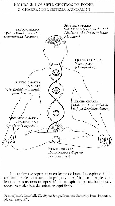El poder simbólico de los siete chakras